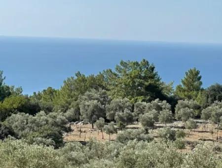 Land For Sale With Sea View Of Çandir