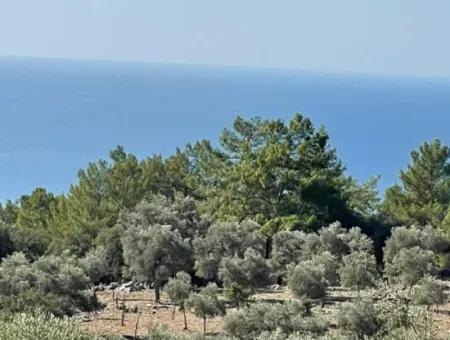 Land For Sale With Sea View Of Çandir