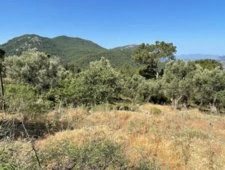 Land For Sale With Sea View In Gokbel