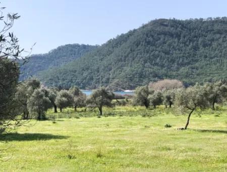 3250M2 Land For Sale In Ekincik With A View Near The Sea