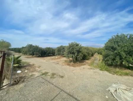 4000M2 Land For Sale Zoned In Village Built-Up Area In Tepearasin