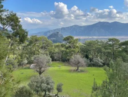 10,707M2 2B Field For Sale With Sea Lake View In Çandır
