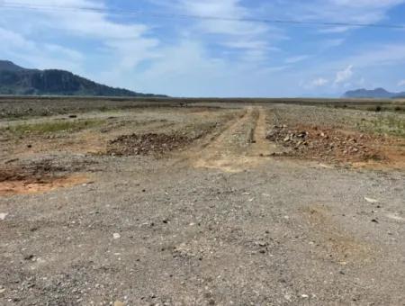 Dalyan Iztuzu Beach Road Zero 19,600M2 Field Land For Sale