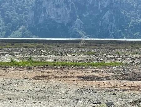 Dalyan Iztuzu Beach Road Zero 19,600M2 Field Land For Sale