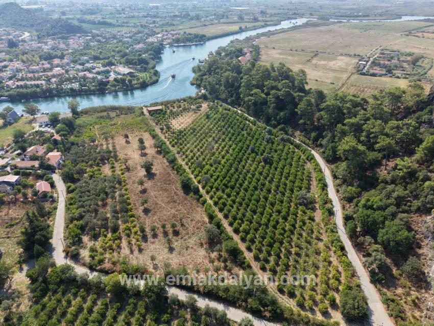Село Köyceğiz в районе Çandır, у канала, 20.000м2 продажа поля