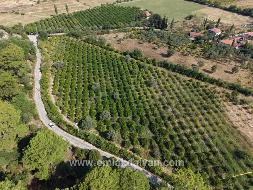 Село Köyceğiz в районе Çandır, у канала, 20.000м2 продажа поля