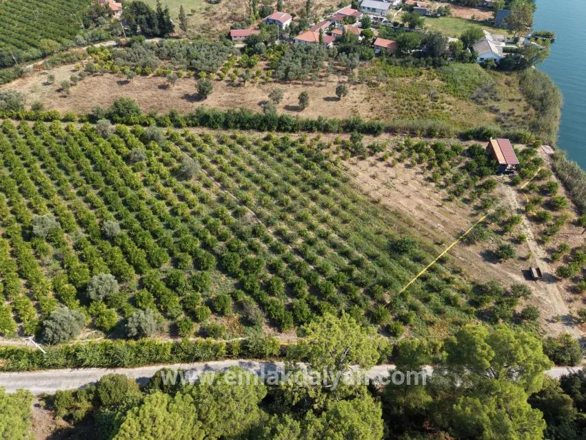 Село Köyceğiz в районе Çandır, у канала, 20.000м2 продажа поля