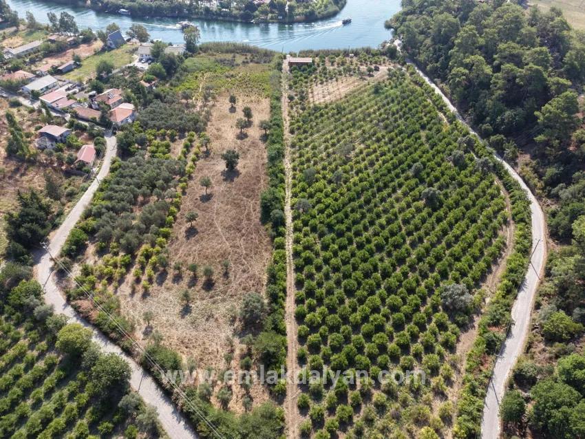 Село Köyceğiz в районе Çandır, у канала, 20.000м2 продажа поля