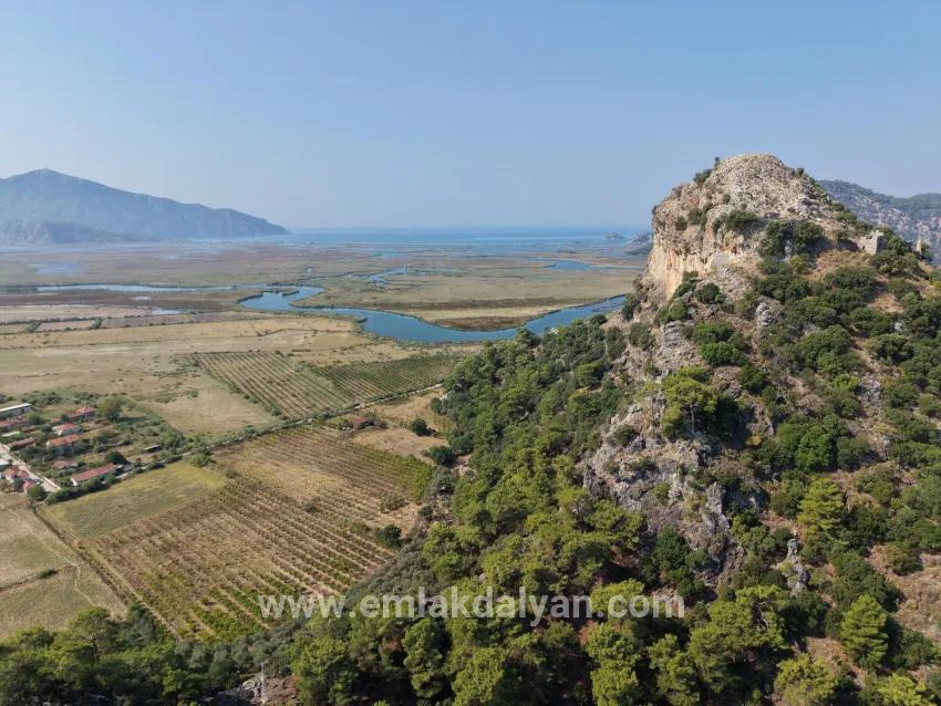 Село Köyceğiz в районе Çandır, у канала, 20.000м2 продажа поля