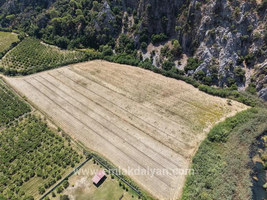 Для продажи Поле в Dalyan Ortaca - Под Поле застройку - 20.786 m²