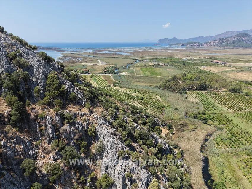 Для продажи Поле в Dalyan Ortaca - Под Поле застройку - 20.786 m²