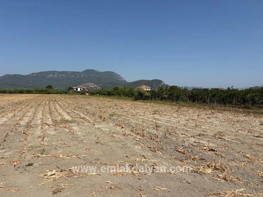 Для продажи Поле в Dalyan Ortaca - Под Поле застройку - 20.786 m²