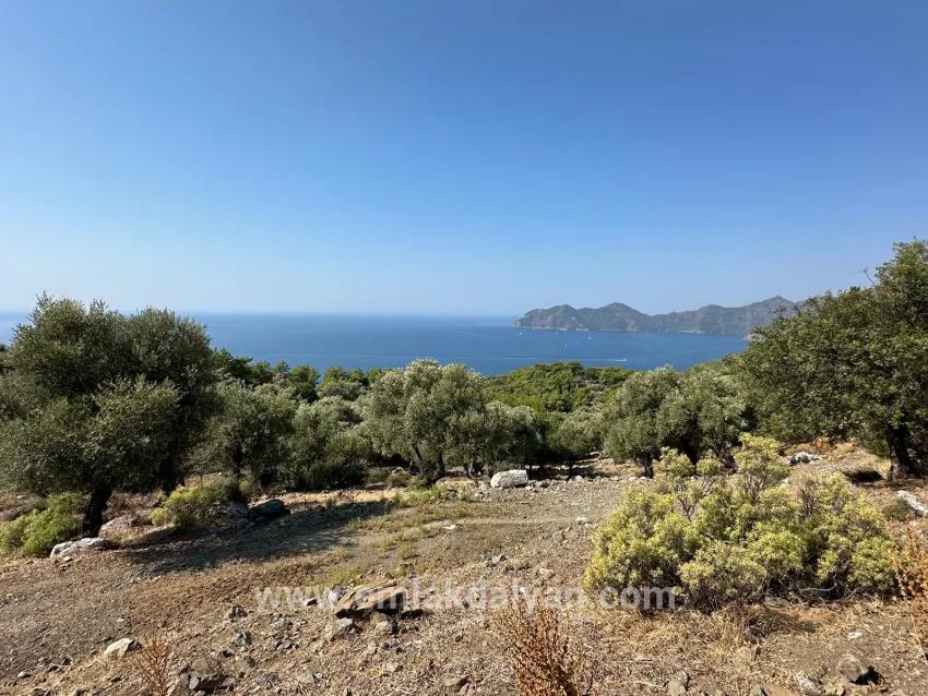 Для Продажи Поле в Çandır Köyceğiz - Под Поле застройку - 21.000 m²