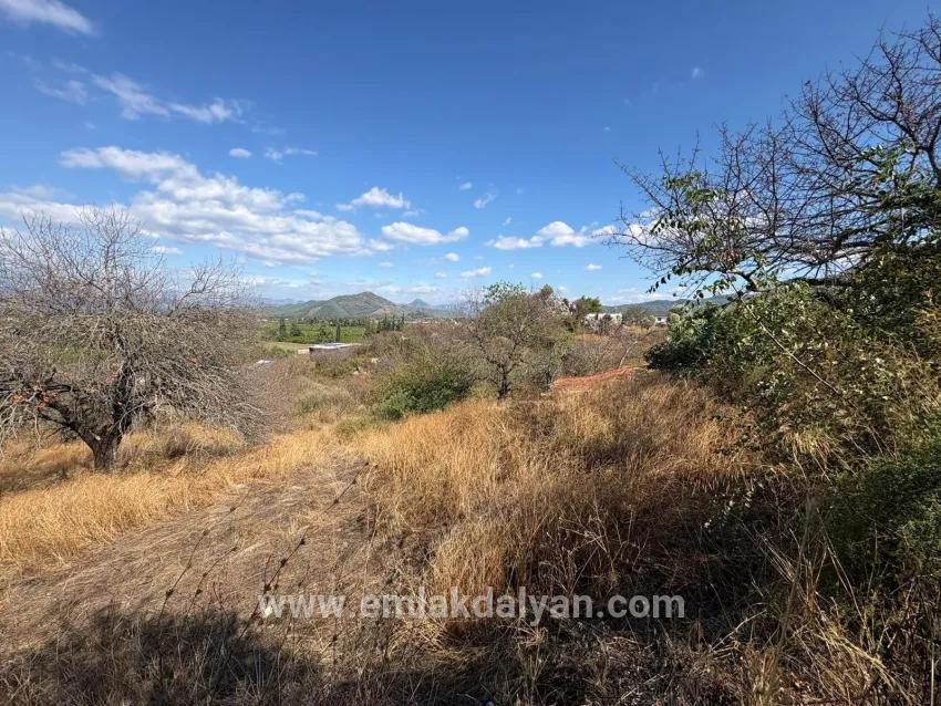 Для продажи Поле в Dalyan Ortaca - Под Поле застройку - 5.000 m²