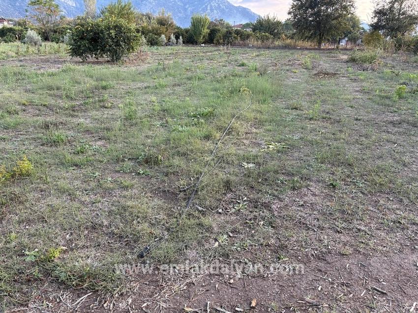 Для продажи Сюжет в Dalyan Ortaca - Под Жилье застройку - 7.450 m²