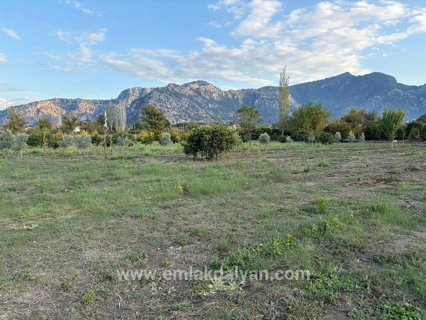 Для продажи Сюжет в Dalyan Ortaca - Под Жилье застройку - 7.450 m²