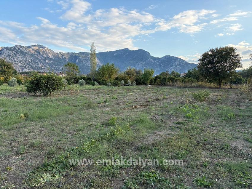 Для продажи Сюжет в Dalyan Ortaca - Под Жилье застройку - 7.450 m²