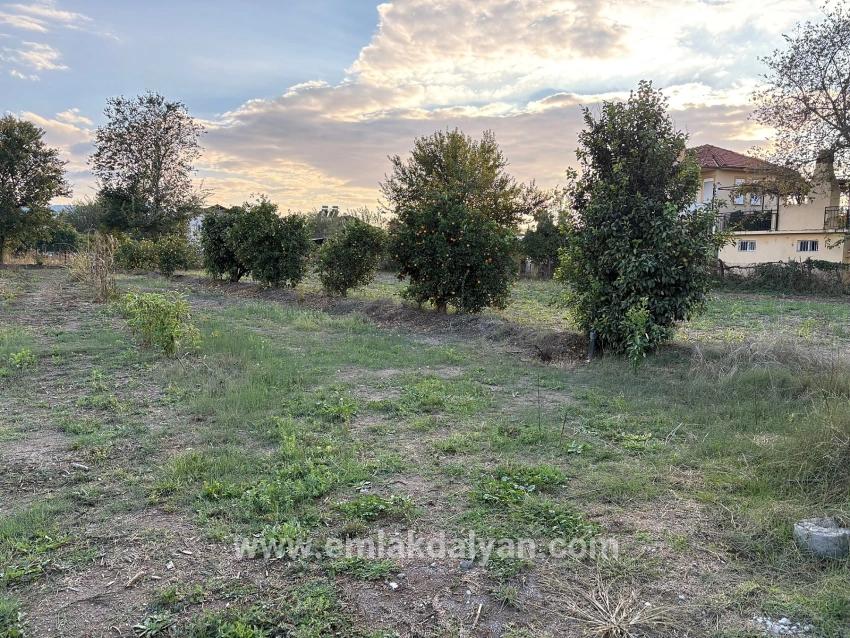 Для продажи Сюжет в Dalyan Ortaca - Под Жилье застройку - 7.450 m²