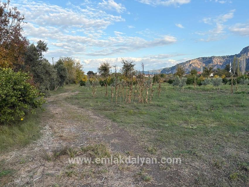 Для продажи Сюжет в Dalyan Ortaca - Под Жилье застройку - 7.450 m²