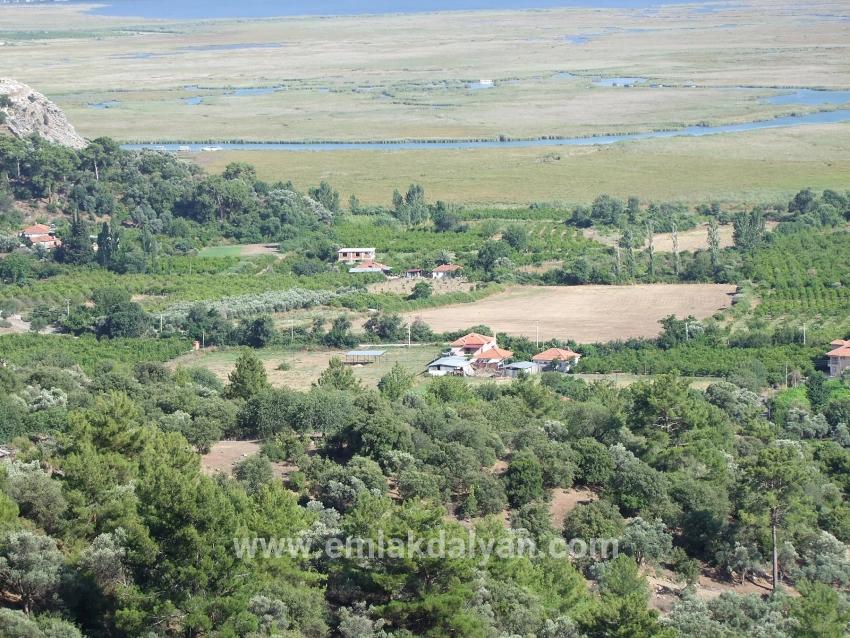 Продается Земельный Участок Площадью 19 334 М² В Чандыре, Кёйджегиз.