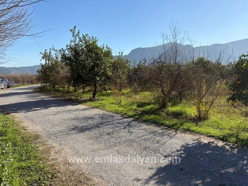 Для продажи Поле в Dalyan Ortaca - Под Поле застройку - 4.541 m²
