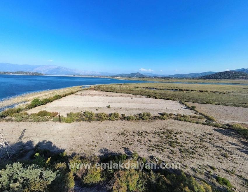 Для продажи Поле в Sultaniye Köyceğiz - Под Поле застройку - 3.210 m²