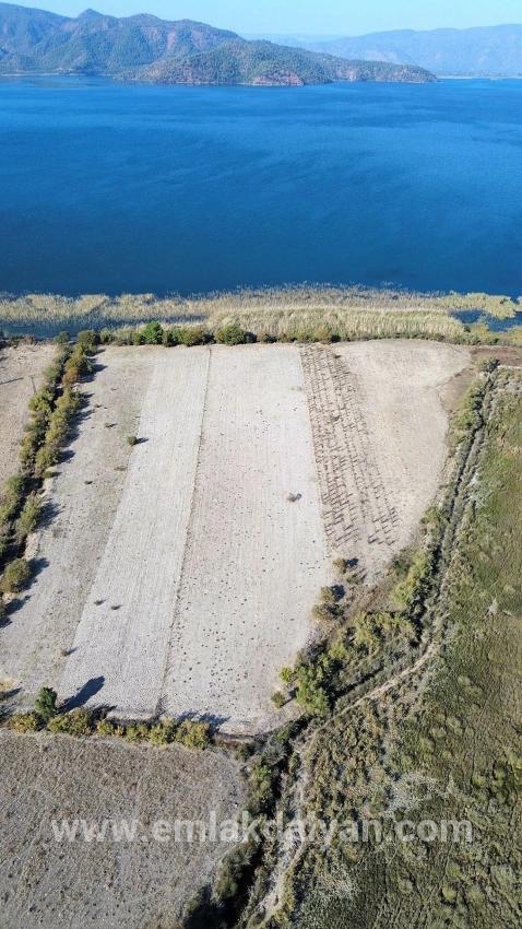 Для продажи Поле в Sultaniye Köyceğiz - Под Поле застройку - 3.210 m²