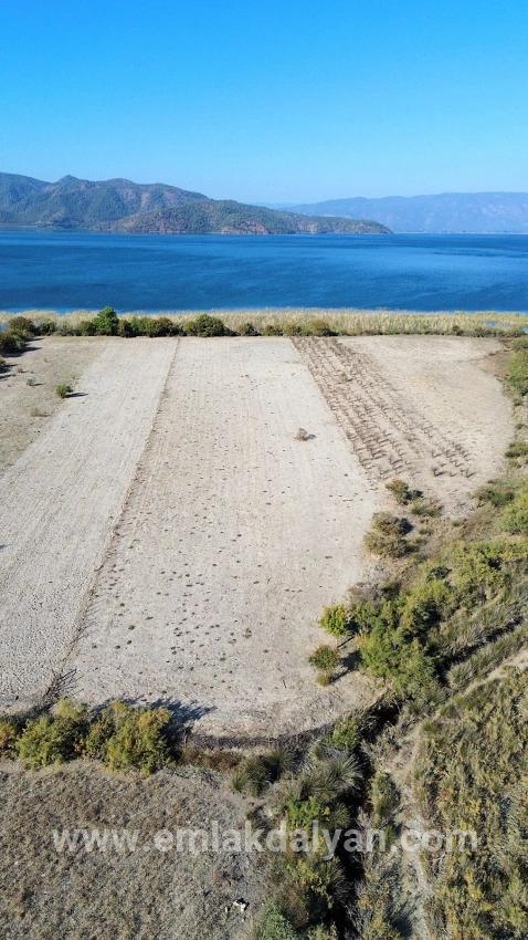 Для продажи Поле в Sultaniye Köyceğiz - Под Поле застройку - 3.210 m²