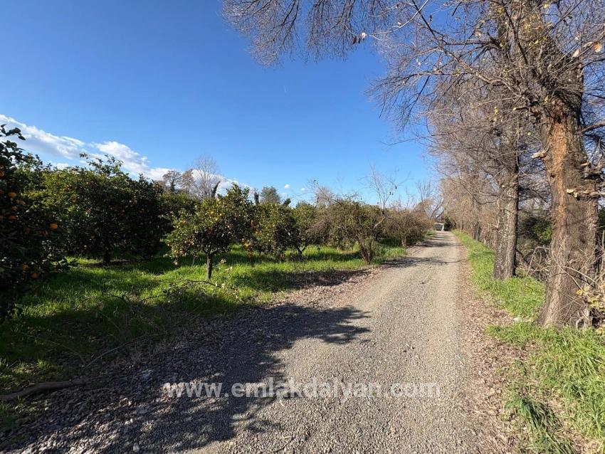 Для продажи Сюжет в Okçular Ortaca - Под Жилье застройку - 4.326 m²