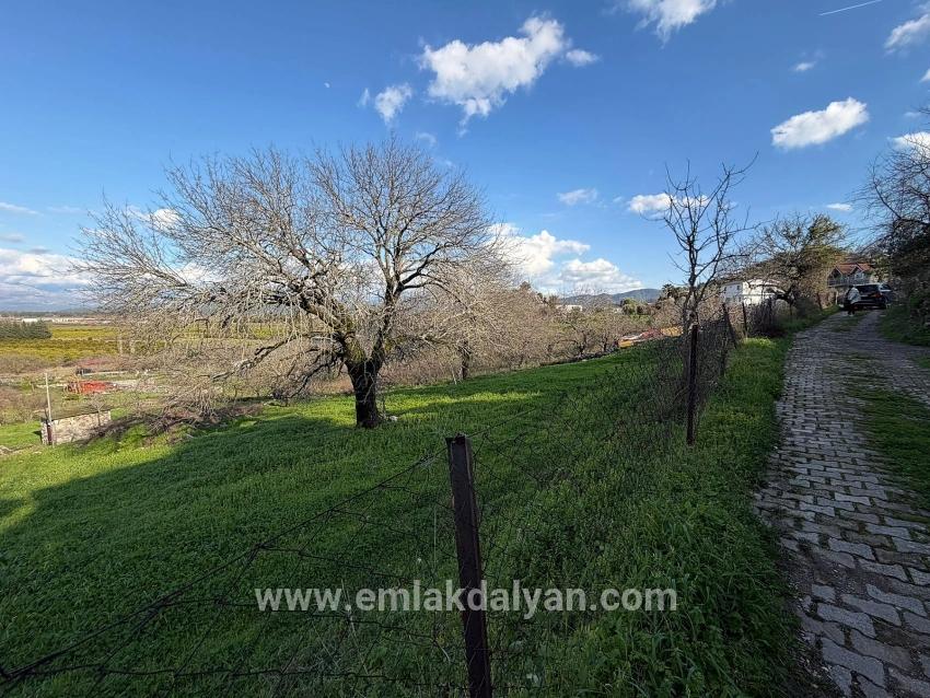 Для продажи Поле в Dalyan Ortaca - Под Поле застройку - 11.230 m²