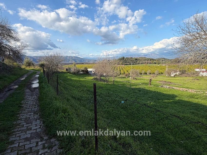 Для продажи Поле в Dalyan Ortaca - Под Поле застройку - 11.230 m²