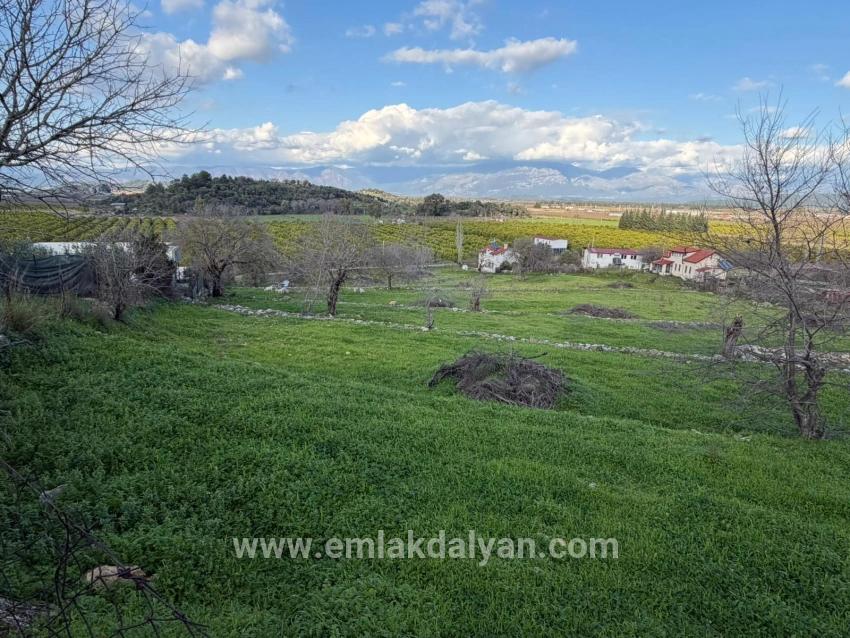 Для продажи Поле в Dalyan Ortaca - Под Поле застройку - 11.230 m²
