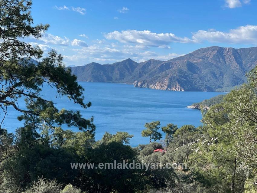 Для продажи Поле в Çandır Köyceğiz - Под Поле застройку - 20.000 m²
