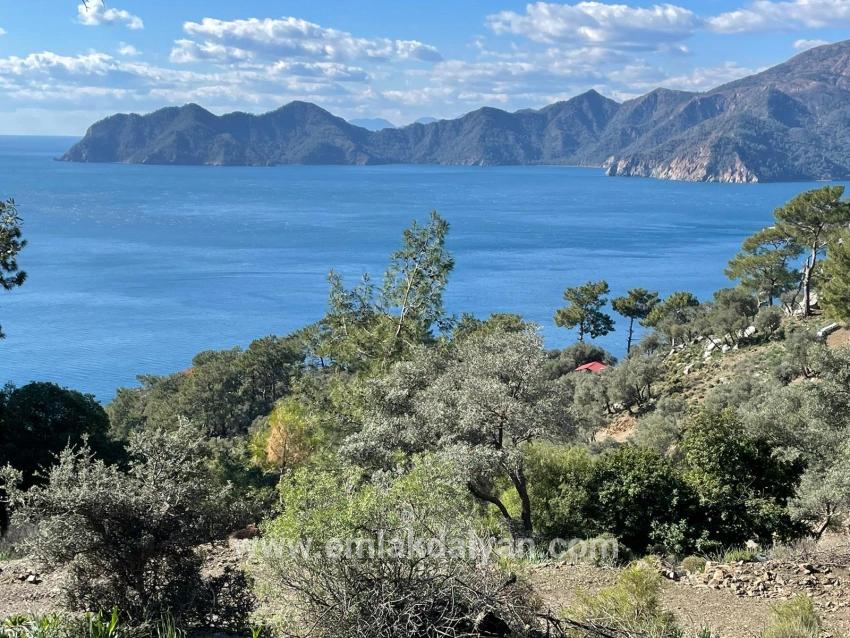 Для продажи Поле в Çandır Köyceğiz - Под Поле застройку - 20.000 m²