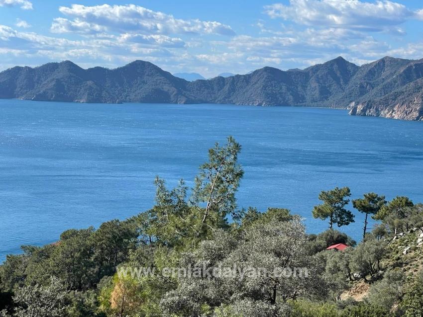Для продажи Поле в Çandır Köyceğiz - Под Поле застройку - 20.000 m²