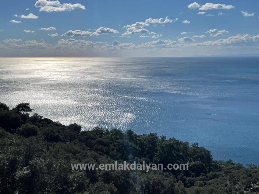 Для продажи Поле в Çandır Köyceğiz - Под Поле застройку - 20.000 m²