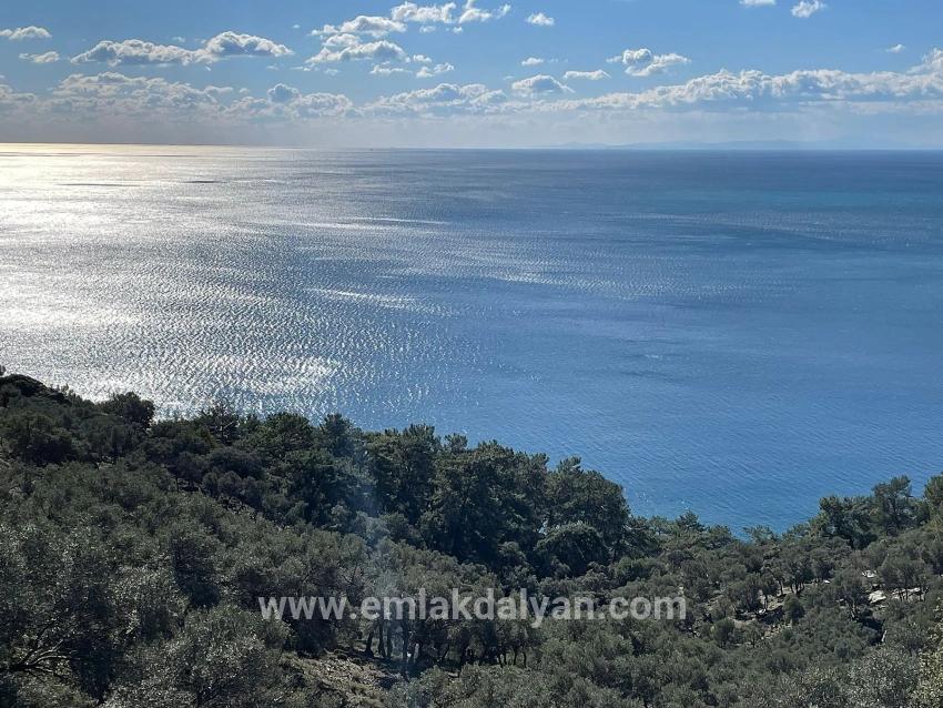 Для продажи Поле в Çandır Köyceğiz - Под Поле застройку - 20.000 m²
