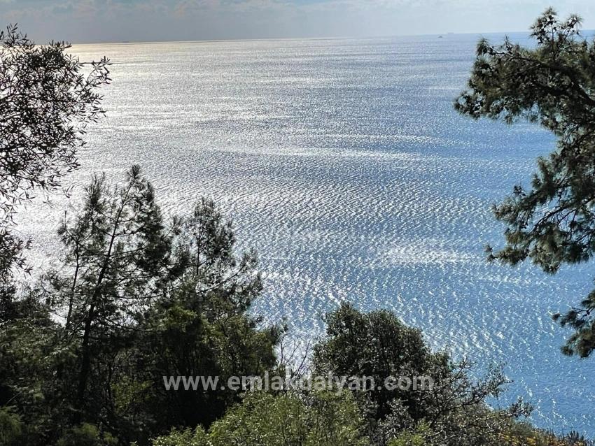 Для продажи Поле в Çandır Köyceğiz - Под Поле застройку - 20.000 m²