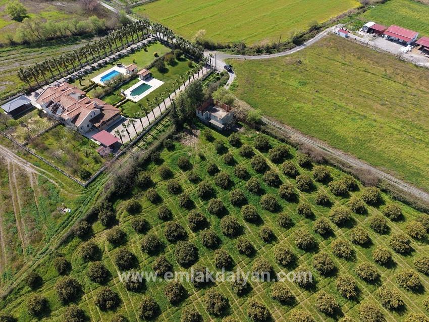 Виноградник Бахче Площадью 17.550 М2 На Продажу Недалеко От Центра Дальяна