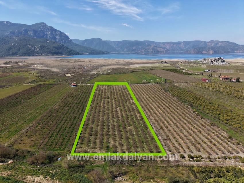 Для продажи Поле в Eskiköy Ortaca - Под Поле застройку - 16.710 m²