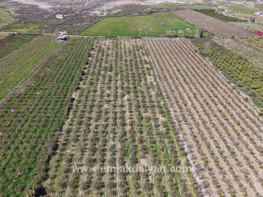 Для продажи Поле в Eskiköy Ortaca - Под Поле застройку - 16.710 m²