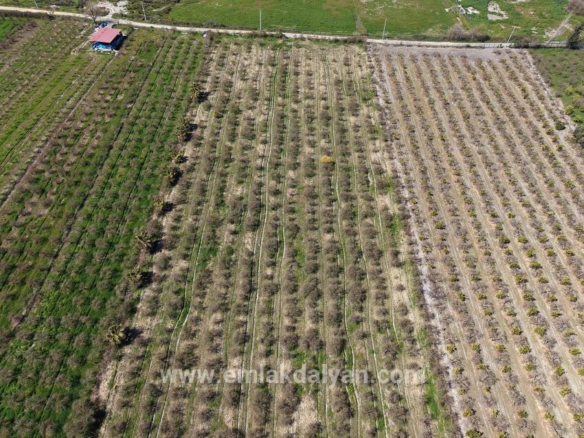 Для продажи Поле в Eskiköy Ortaca - Под Поле застройку - 16.710 m²