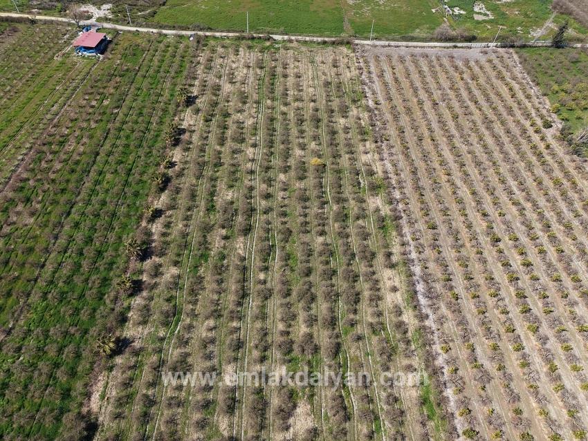 Для продажи Поле в Eskiköy Ortaca - Под Поле застройку - 16.710 m²