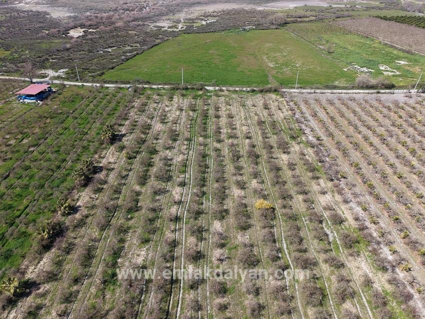 Для продажи Поле в Eskiköy Ortaca - Под Поле застройку - 16.710 m²