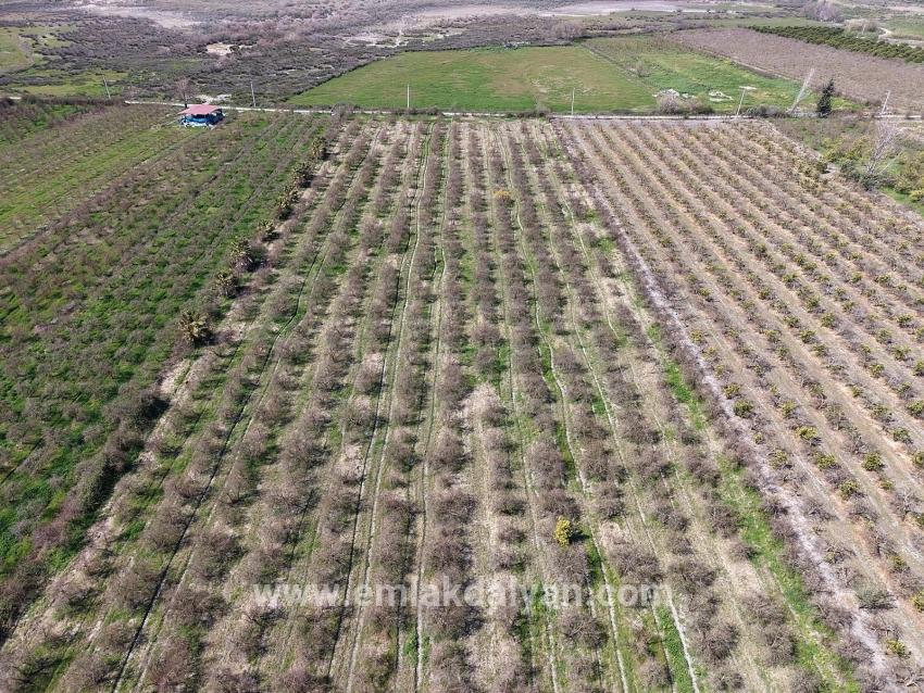 Для продажи Поле в Eskiköy Ortaca - Под Поле застройку - 16.710 m²