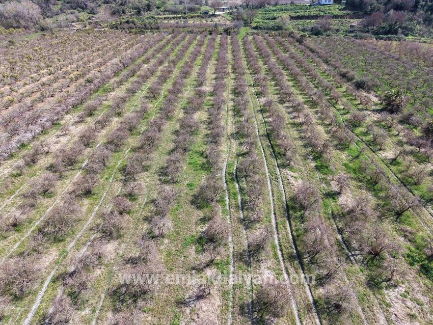 Для продажи Поле в Eskiköy Ortaca - Под Поле застройку - 16.710 m²