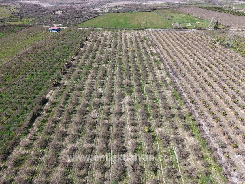 Для продажи Поле в Eskiköy Ortaca - Под Поле застройку - 16.710 m²