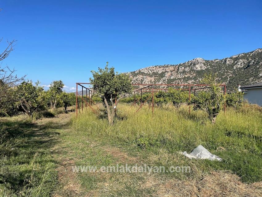 Для продажи Поле в Dalyan Ortaca - Под Поле застройку - 6.600 m²