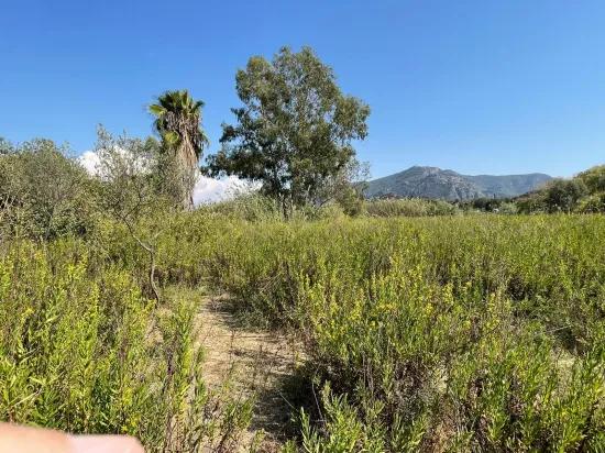 Продается Отдельно Стоящий Дом Площадью 2765 М² В Чандыре, Прямо Рядом С Каналом.