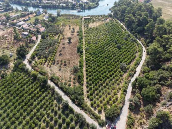 Село Köyceğiz в районе Çandır, у канала, 20.000м2 продажа поля